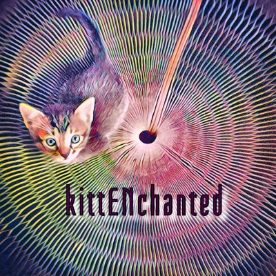 KittENchanted - Pet Shelter and Rescue in McKinney, Texas