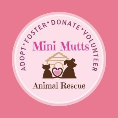 Mini Mutts Animal Rescue - Pet Shelter and Rescue in Grand Prairie, Texas
