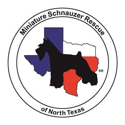 Miniature Schnauzer Rescue Of North Texas - Pet Shelter and Rescue in Carrollton, Texas
