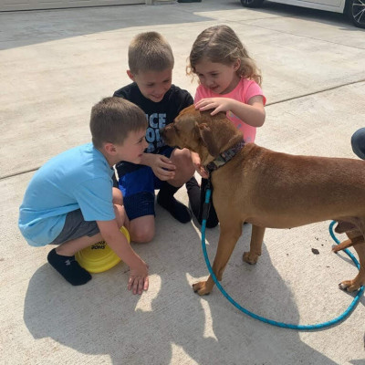 Special Pals Animal Shelter - Pet Shelter and Rescue in Houston, Texas