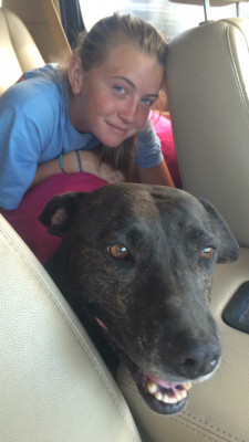 Texas Little Cuties (TLC) Rescue - Pet Shelter and Rescue in Plano, Texas