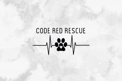 Code Red Rescue - Pet Shelter and Rescue in Fort Worth, Texas