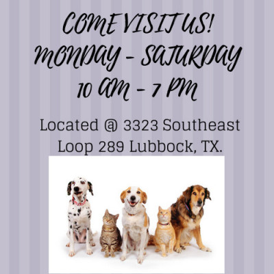 Lubbock Animal Services - Pet Shelter and Rescue in Lubbock, Texas