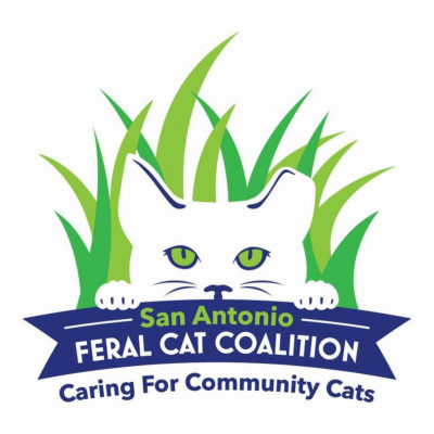 San Antonio Feral Cat Coalition - Pet Shelter and Rescue in San Antonio, Texas