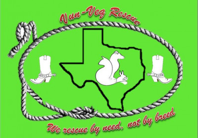 VUN-VEQ Rescue - Pet Shelter and Rescue in San Antonio, Texas