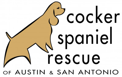 Cocker Spaniel Rescue Of Austin/San Antonio - Pet Shelter and Rescue in Austin, Texas