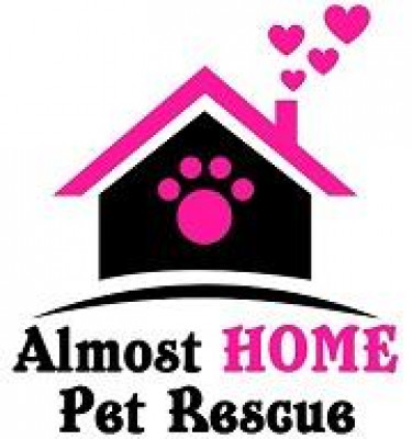 Almost Home Pet Rescue - Pet Shelter and Rescue in Katy, Texas