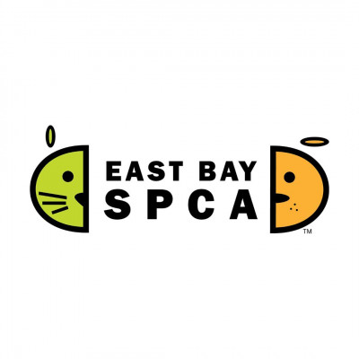 East Bay SPCA- Oakland Adoption Center - Pet Shelter and Rescue in Oakland, California