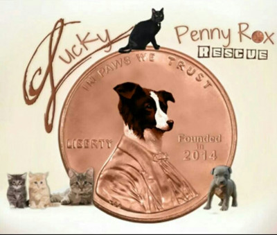 Lucky Penny Rox Rescue - Ft Bend County Tx - Pet Shelter and Rescue in Richmond, Texas
