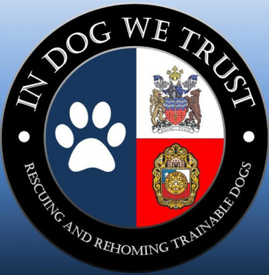 In Dog We Trust - Pet Shelter and Rescue in Adkins, Texas