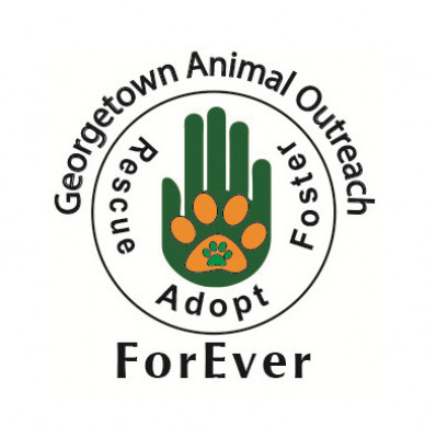 Georgetown Animal Outreach - Pet Shelter and Rescue in Georgetown, Texas
