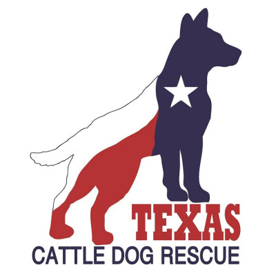 Texas Cattle Dog Rescue - Pet Shelter and Rescue in Fort Worth, Texas