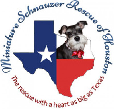 Miniature Schnauzer Rescue Of Houston - Pet Shelter and Rescue in Houston, Texas