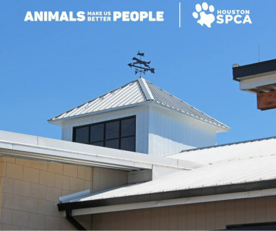 Houston SPCA - Pet Shelter and Rescue in Houston, Texas