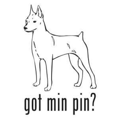 Miniature Pinscher Rescue Houston - Pet Shelter and Rescue in Houston, Texas