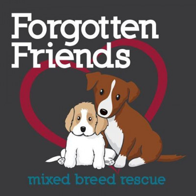 Forgotten Friends - Mixed Breed Rescue - Pet Shelter and Rescue in Leander, Texas