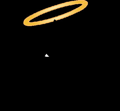 Hood Co Animal Lovers Organization - Pet Shelter and Rescue in Granbury, Texas