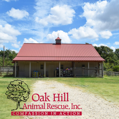 Oak Hill Animal Rescue Inc - Pet Shelter and Rescue in Seagoville, Texas
