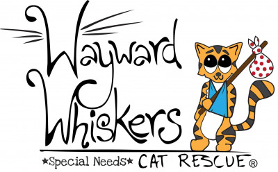 Wayward Whiskers Cat Rescue - Pet Shelter and Rescue in San Antonio, Texas