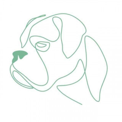 Lakeside Rescue - Pet Shelter and Rescue in Lewisville, Texas