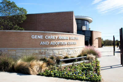 City Of Lewisville Animal Shelter - Pet Shelter and Rescue in Lewisville, Texas