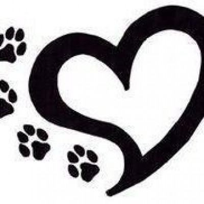 Pet Central Dog Rescue - Pet Shelter and Rescue in San Antonio, Texas