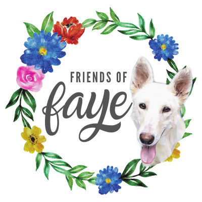 Friends Of Faye - Pet Shelter and Rescue in Conroe, Texas