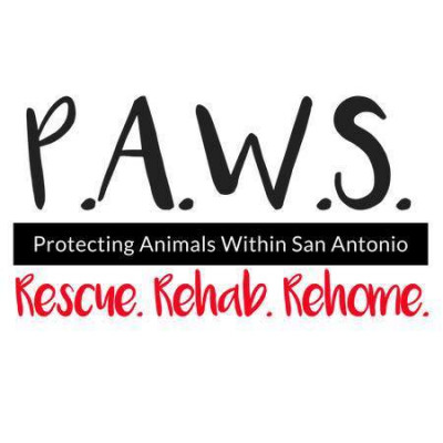 Protecting Animals Within San Antonio (P.A.W.S Foster Based Rescue) - Pet Shelter and Rescue in Shavano Park, Texas