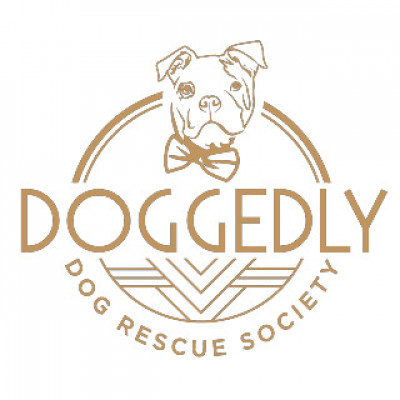 Doggedly Dog Rescue Society - Pet Shelter and Rescue in Houston, Texas