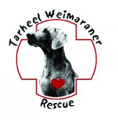 Tarheel Weimaraner Rescue - Pet Shelter and Rescue in Rutherfordton, North Carolina