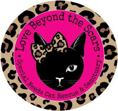 Love Beyond The Scars Rescue & Sanctuary - Pet Shelter and Rescue in Oak Ridge North, Texas