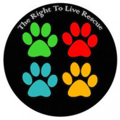 They Have The Right To Live Rescue - Pet Shelter and Rescue in San Antonio, Texas
