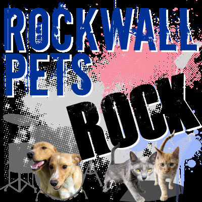 Rockwall Pets - Pet Shelter and Rescue in Rockwall, Texas
