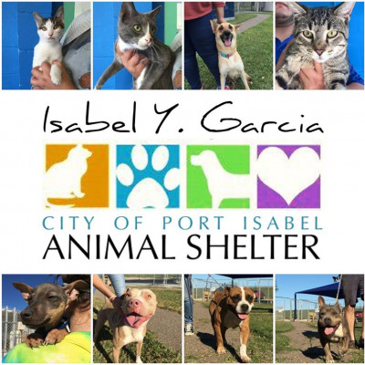 Isabel Y. Garcia Animal Shelter - Pet Shelter and Rescue in Port Isabel, Texas