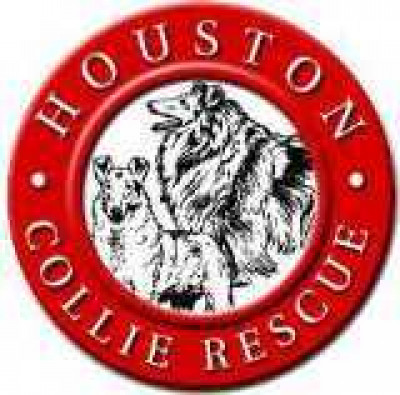 Houston Collie Rescue - Pet Shelter and Rescue in Houston, Texas