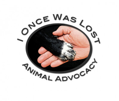 I Once Was Lost Animal Advocacy - Pet Shelter and Rescue in Cedar Creek, Texas