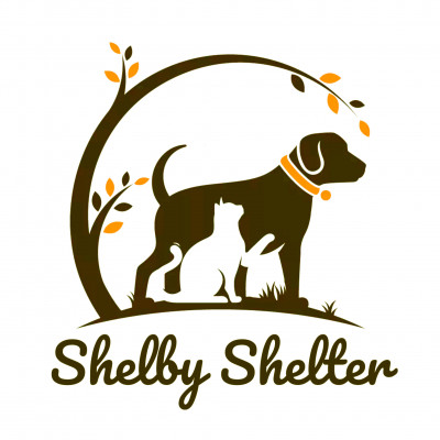 Shelby Shelter - Pet Shelter and Rescue in Houston, Texas