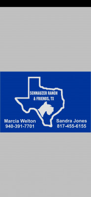 Schnauzer Ranch And Friends Texas Inc - Pet Shelter and Rescue in Sanger, Texas