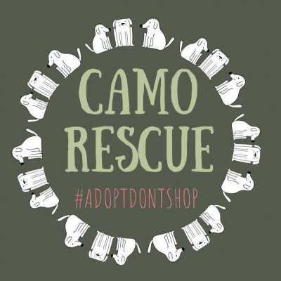 CAMO - Rescue - Pet Shelter and Rescue in Houston, Texas