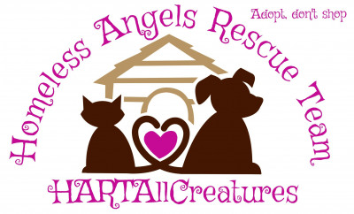 Homeless Angels Rescue Team, Houston, Texas - Pet Shelter and Rescue in Houston, Texas