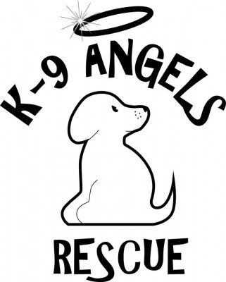 K-9 Angels Rescue - Pet Shelter and Rescue in Houston, Texas