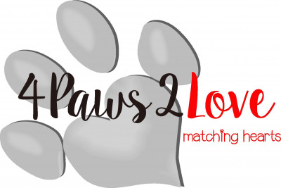 4Paws2Love - Pet Shelter and Rescue in Plano, Texas