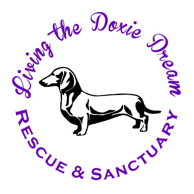 Living The Doxie Dream Rescue And Sanctuary - Pet Shelter and Rescue in Royse City, Texas