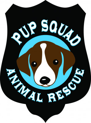 Pup Squad Animal Rescue - Pet Shelter and Rescue in Houston, Texas