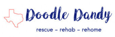 Doodle Dandy Rescue - Pet Shelter and Rescue in Garland, Texas