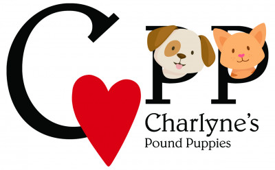 Charlynes Pound Puppies - Pet Shelter and Rescue in Thorndale, Texas