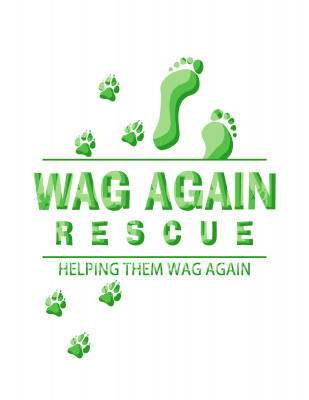 Wag Again Rescue - Pet Shelter and Rescue in Pearland, Texas