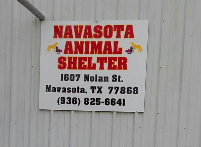 Navasota Animal Shelter - Pet Shelter and Rescue in Navasota, Texas