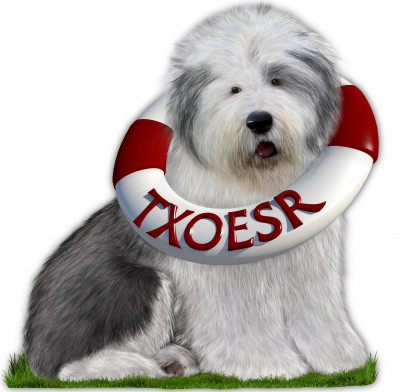 Texas Old English Sheepdog Rescue, Inc. - Pet Shelter and Rescue in Argyle, Texas