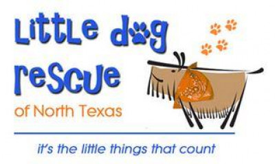 Little Dog Rescue Of North Texas, Inc. - Pet Shelter and Rescue in Lakewood Village, Texas